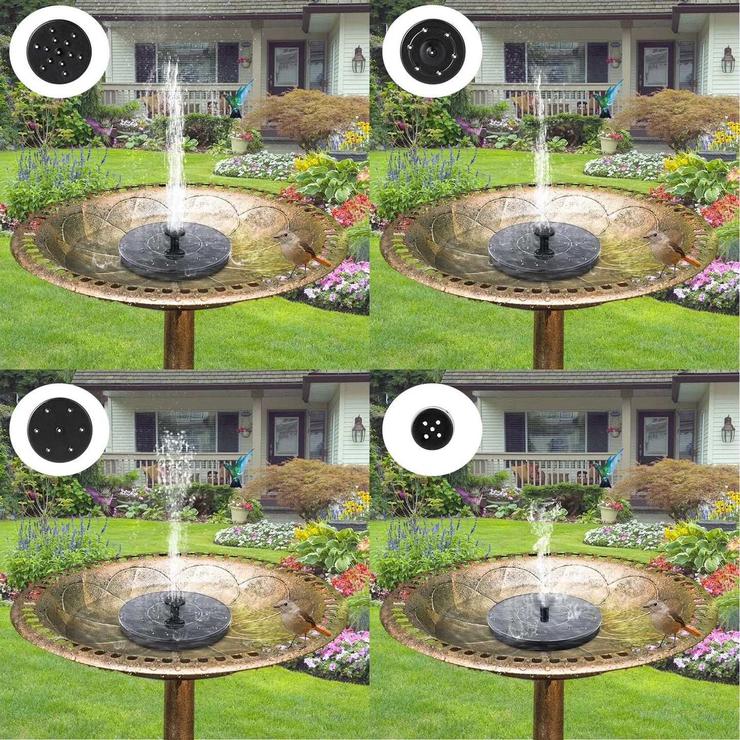 Solar Powered Water Fountain